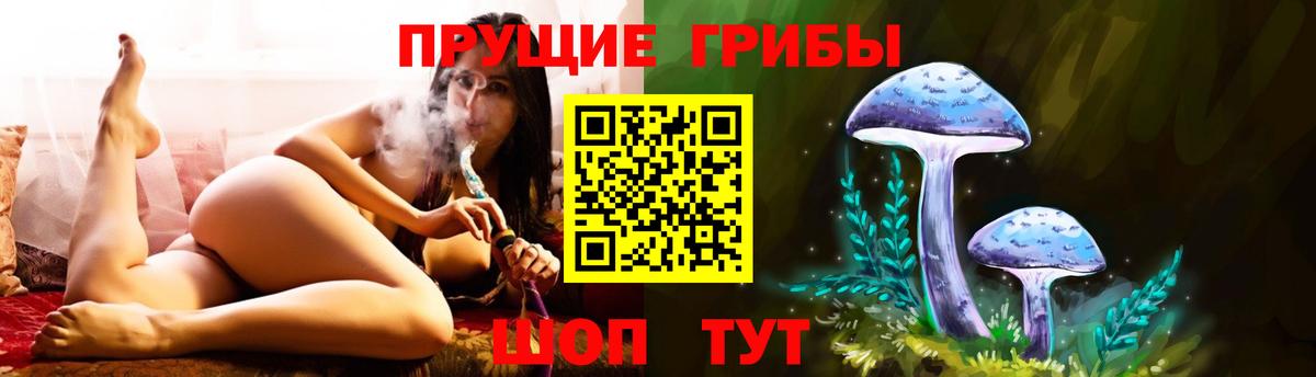 Чехов  Галлюциногенные грибы Magic Shrooms  магазин продажи   Вход с VPN 