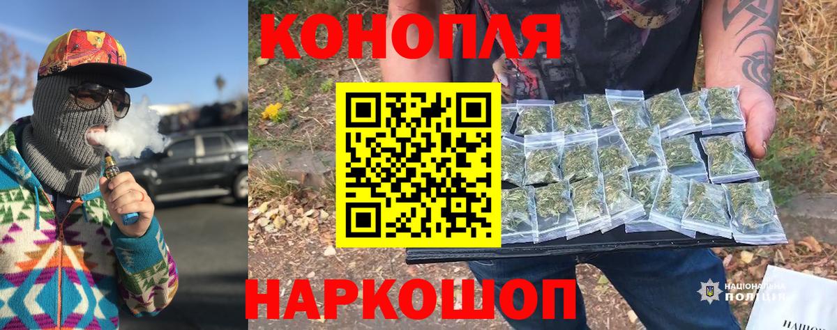 Конопля семена  Вход с VPN  Конопля гибрид  Каннабис планчик  Канабис конопля  Чехов 